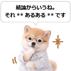 AI構文と癒やし柴犬