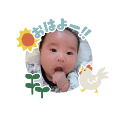 mi_ya_20260210180059