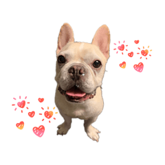 翔翔和花生的第一次貼圖