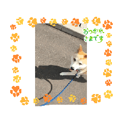 Sendai Senior HANAKO_20260211111107