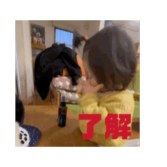 almonte_20260211110351