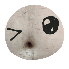 肚皮先生的日常