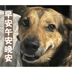 尼好~嘎逼是我 我是嘎逼