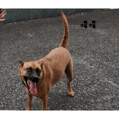 小aa的日常生活