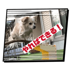 Rin.oh-14_20260210213631