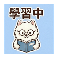 喵狗～的避風港！