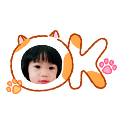 ALYNN_20260211003531