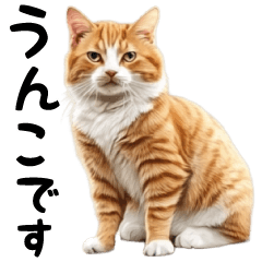 猫うんこ【敬語・丁寧】