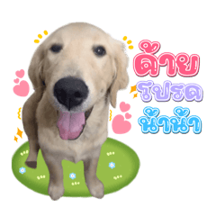 จันทร์เจ้าเด็กดื้อ