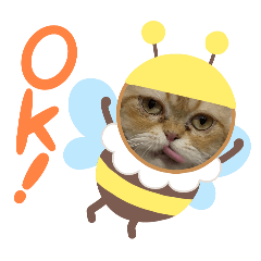 Nanthaphat_20260211071025