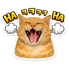 Do you want some Cat