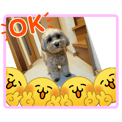 noriko_20260210195908