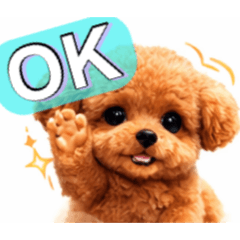 Easy-to-Use Toy Poodle Stickers