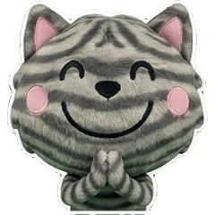 Moving American Shorthair 8th