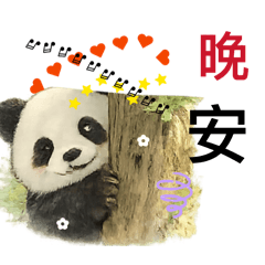 熊您愛-我的初體驗.115.2.11.