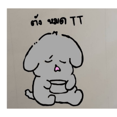 Apichat Chaau_20260211095740