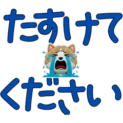 Moving Polite Amestaff 12