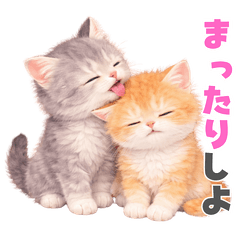 Cute Cat Life Stickers