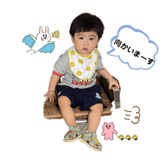 aly_20260211002624