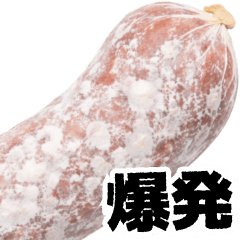 Sausage (French saucisson sec)