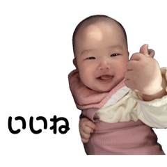 mameta_20260211003634