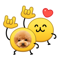 mocomommy_20260211003925