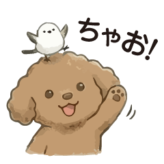 Toy Poodle and a Little Bird 02/Basic