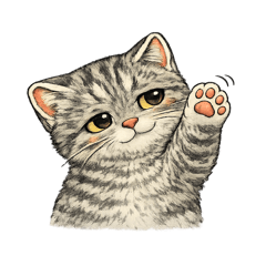 Migos美短貓情緒起伏篇