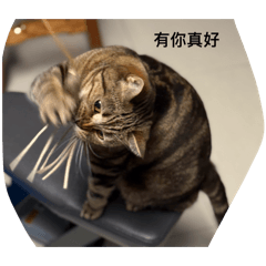 三百萬幸福胖虎7