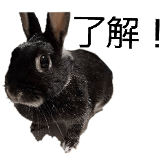 Anasawa-X-Jin_20260208204437