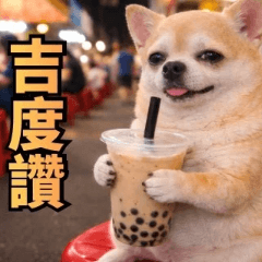 胖吉｜今天不裝乖