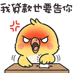 (°> °) 小胖鸚鵡貸款也要告你