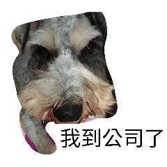 tingtingwang_20260210123705