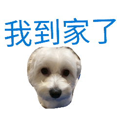 tingtingwang_20260210130853