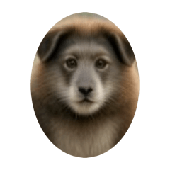 KZ Mizutani_20260208214654