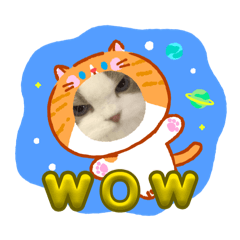 可愛貓咪「想打擊逆轉貓」可愛貼圖