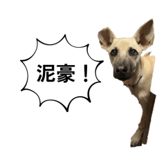 勞贖養的狗仔們