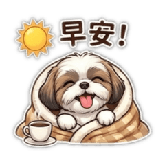 西施犬日常用語