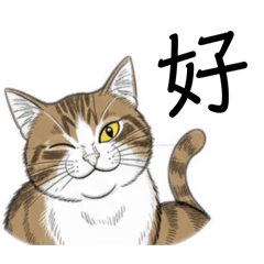 乖乖摳摳小寶貝