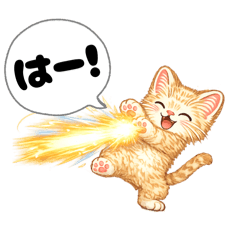 win win_20260210150948