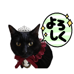 rakuneko_20260210155456