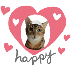 Rie.D_20260210202511