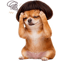 Brown Chihuahua TuaTueng (No Text)