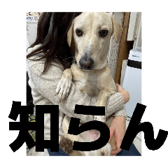 sakushin.n_20260208183501