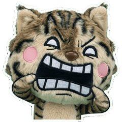 Moving American Bobtail 8th