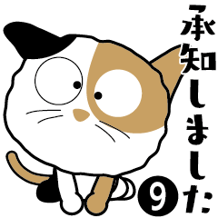 a naughty cat-09. Cat day simple.