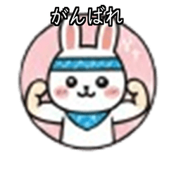 Baby Rabbit Marucho Friends Ganbare Set