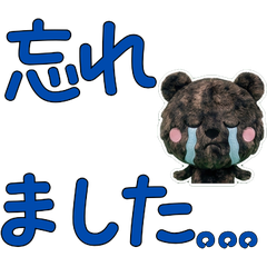 Moving Polite Amami 12