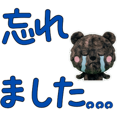 Moving Polite Amami 12