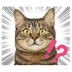 ryuka_20260210171845